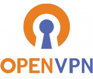 5 Adımda OpenVPN Sunucusunu Kurun